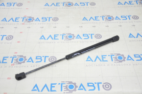 Right hood shock absorber Tesla Model 3 18- not EVANNEX