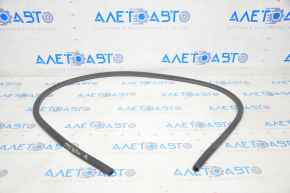 Tesla Model 3 Front Left Door Seal 18-