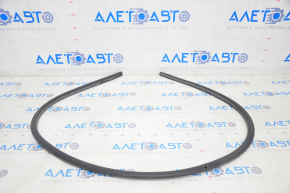 Tesla Model 3 Front Left Door Seal 18-