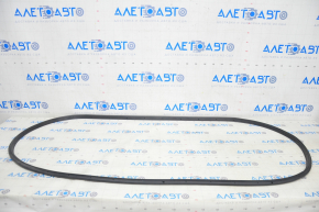 Front Right Door Seal Ford Escape MK4 20-24