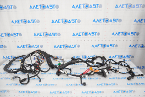 Tesla Model 3 18- AWD Engine Bay Wiring