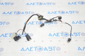 Wiring for the interior trunk lid light, central Ford Edge 15-18 pre-restored SE SEL for camera and license plate light
