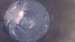 Lincoln MKZ 13-16 2.0T 47k engine, spins, cushion mount is cracked