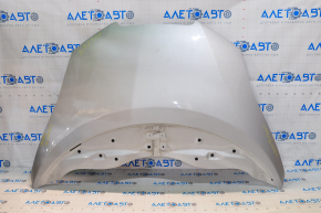 Hood bare Nissan Leaf 11-17 silver K23