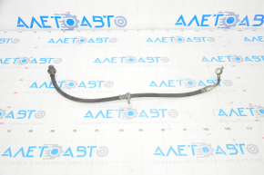 Brake hose rear left Honda Accord 18-22