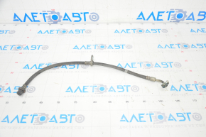 Brake hose rear right Honda Accord 18-22