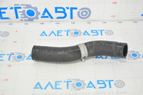 Upper Cooling Hose Honda Accord 18-22 2.0T