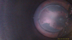 Engine Mitsubishi Outlander 14-15 2.4 pre-rest 4J12 mileage is not relevant, sensor is broken
