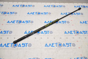 Subaru Forester 14-18 SJ Hood Shock Absorber