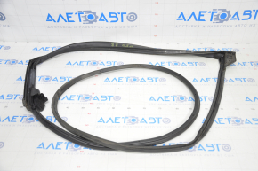 Toyota Prius 50 16-22 rear right door seal