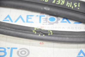Door seal front right BMW i3 14-20 tear