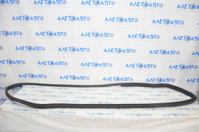 Door seal front right BMW i3 14-20 tear