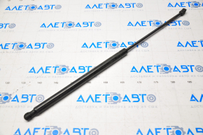 Lincoln MKZ 13-20 Hood Strut