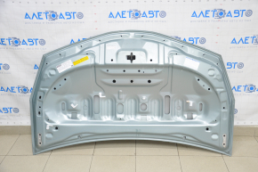Hood bare Toyota Prius V 12-17 green 781, butt