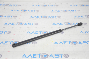 Tesla Model S 12-20 Type 1 Left Hood Strut