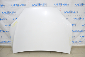 Tesla Model X 16-21 White PPSW Naked Hood, Pokes