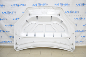 Tesla Model X 16-21 White PPSW Naked Hood, Pokes