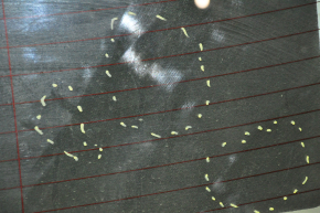 Rear glass Chrysler 300 11 - minor scratches