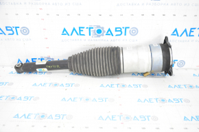 Air shock absorber rear left Tesla Model S 12-15 prerest RWD S3, S2