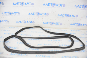 Door Seal Rear Right Tesla Model X 16-21 Type 1