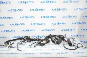 Wiring underhood-interior right Tesla Model S 12-20 with fuse boxes
