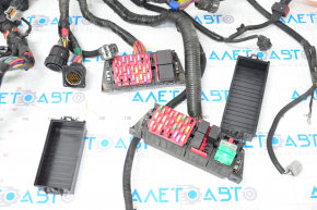 Wiring underhood-interior right Tesla Model S 12-20 with fuse boxes