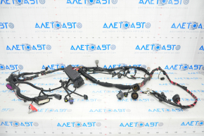 Wiring underhood front left Tesla Model S 12-20 with fuse box