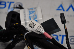 Tesla Model 3 18- Rear Right Door Wiring