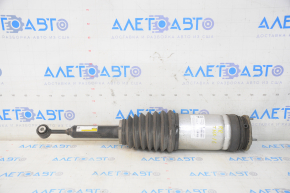 Air strut rear right Tesla Model X 16-21 type 2