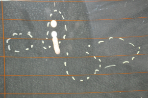 Rear glass VW Passat b8 16-19 USA contacts are soldered off, scratches