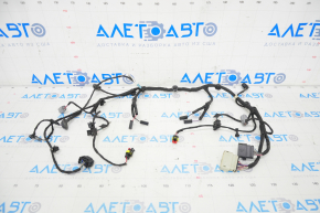 Wiring underhood front Tesla Model S 12-20 RWD TV