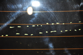 Rear glass of the trunk door Fiat 500 12-19 tinted, scratches
