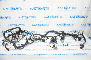 Wiring underhood-interior Tesla Model S 16-20 RWD