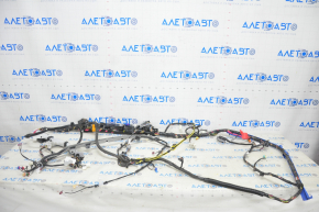 Wiring interior right Tesla Model Y 20-25