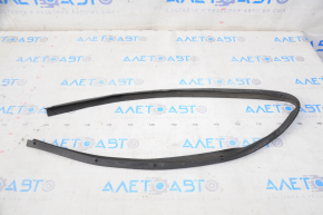 Hood seal on the Lexus RX350 RX450h bumper 10-15