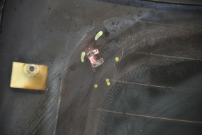 Rear glass of the trunk door Ford Escape MK3 13-19 tinted, torn heating, scratch from the wiper