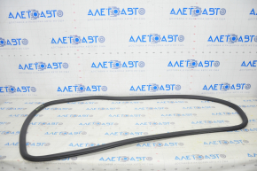 Door seal rear left Chevrolet Bolt 17-