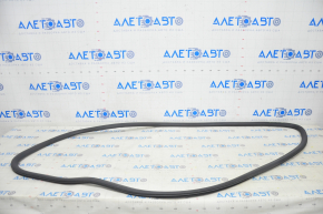 Door seal front left Chevrolet Bolt 17-