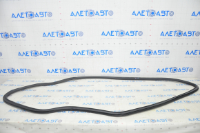 Door seal front left Chevrolet Bolt 17-