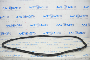 Chevrolet Bolt 17- Trunk Seal