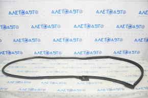 Front left door seal Chevrolet Bolt 17-