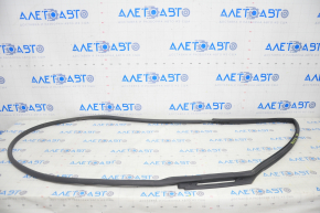 Door seal rear right Chevrolet Bolt 17-
