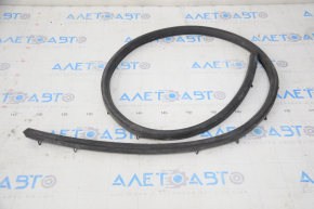 Hood Seal Honda Insight 19-22