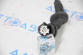 Rear left door wiring Honda Insight 19-22
