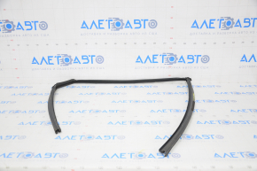 Rear left glass seal Honda Insight 19-22