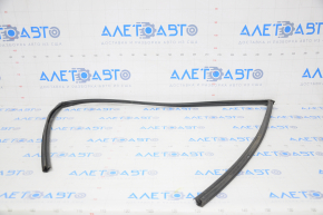 Glass seal front left Honda Insight 19-22