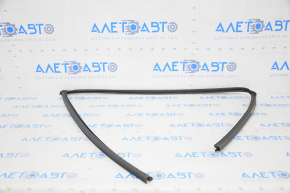 Glass seal front left Honda Insight 19-22