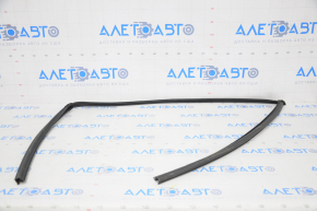 Glass seal front right Honda Insight 19-22