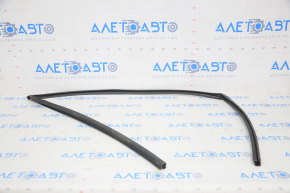 Glass seal front right Honda Insight 19-22