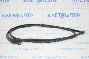 Front right door seal Honda Insight 19-22